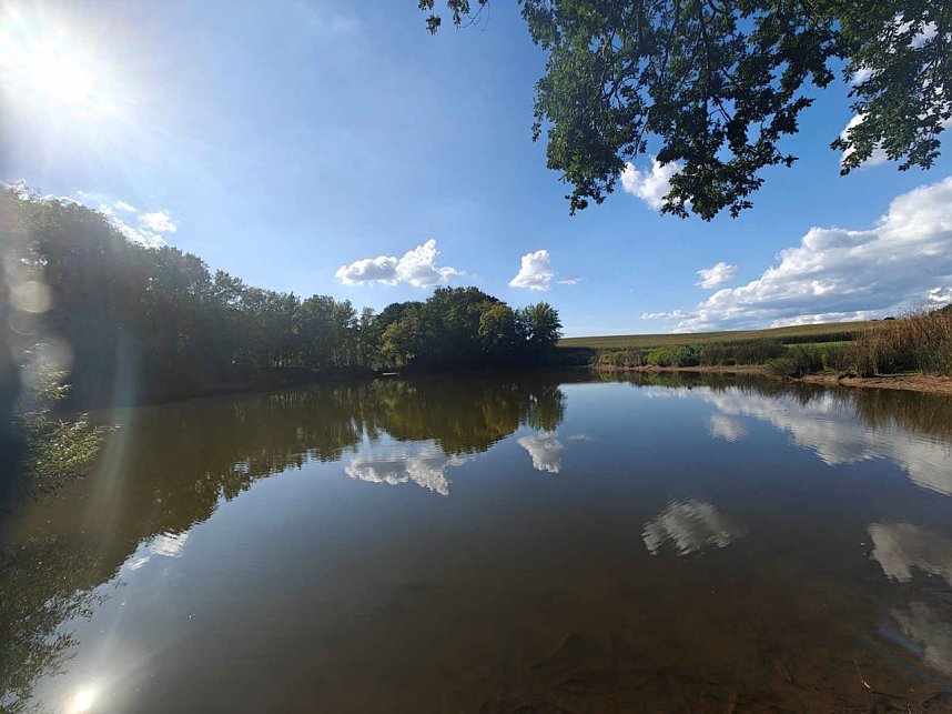 Peter Blei unterwegs am Wiesenteich