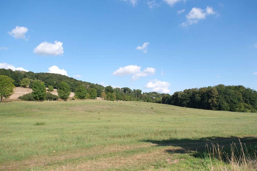 Peter Blei unterwegs am Wiesenteich