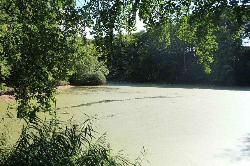 Peter Blei unterwegs am Wiesenteich