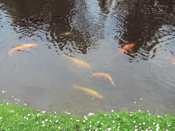 Unterwegs im Vogtland