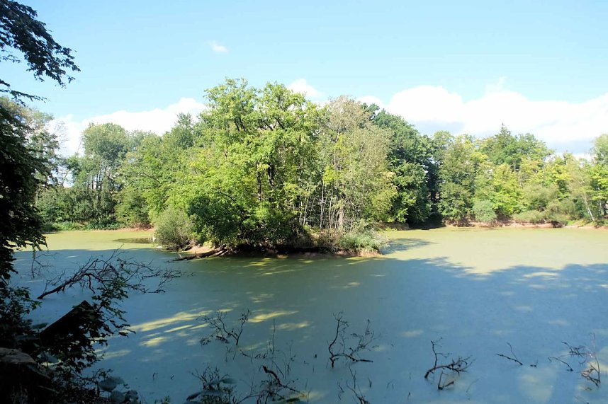 Peter Blei unterwegs am Wiesenteich