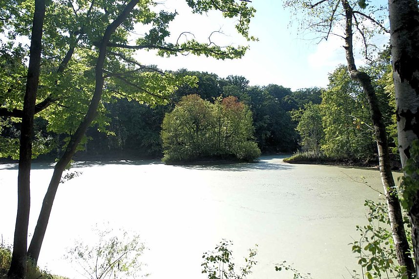 Peter Blei unterwegs am Wiesenteich
