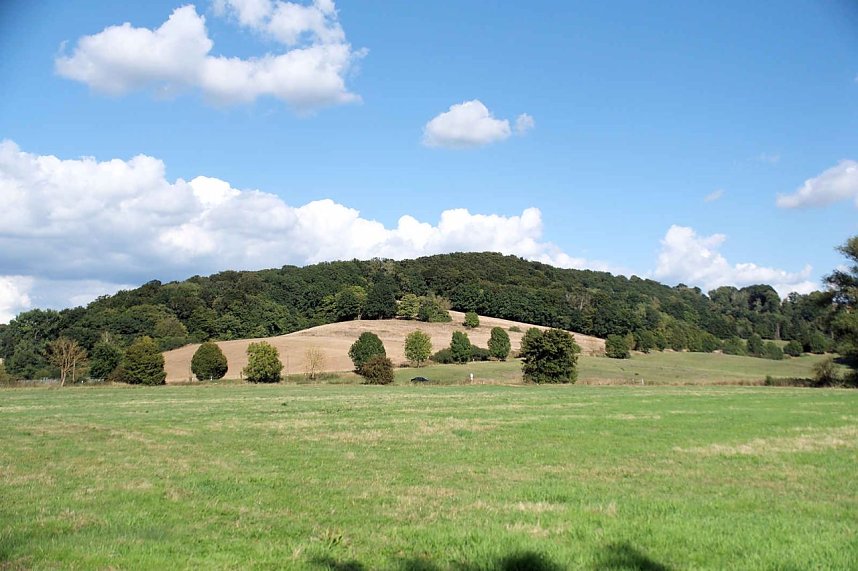 Peter Blei unterwegs am Wiesenteich