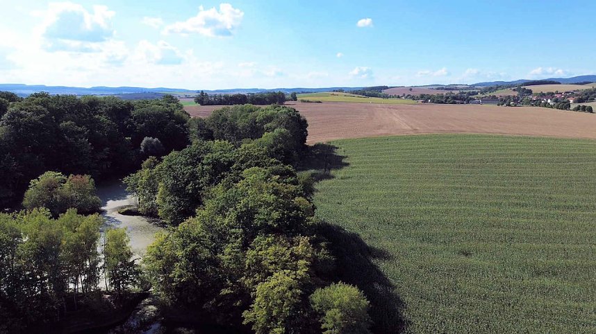 Peter Blei unterwegs am Wiesenteich