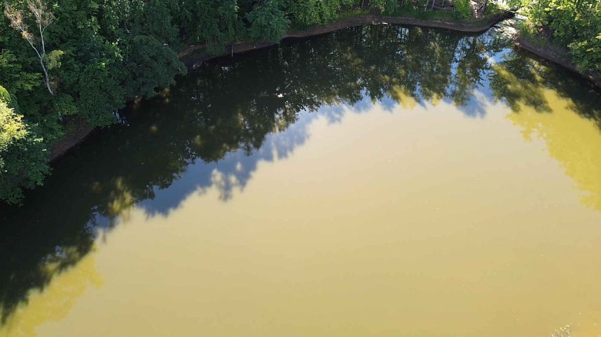 Peter Blei unterwegs am Wiesenteich