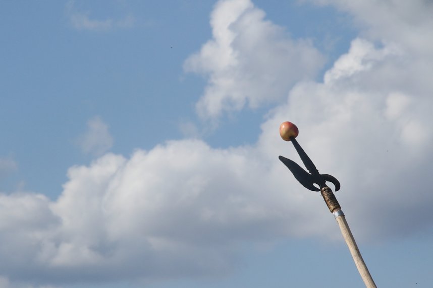 Nachstellung der Bauernschlacht bei Bad Frankenhausen