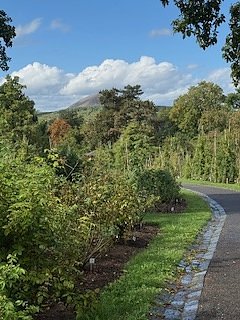 Die Herzsportgruppe machte sich auf den Weg nach Nebra und zu duftenden Rosen