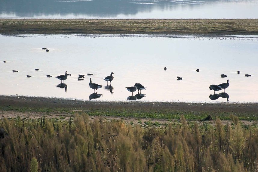 Peter Blei unterwegs am Stausee Kelbra