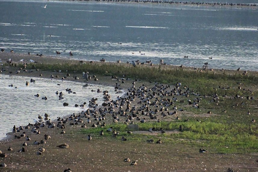 Peter Blei unterwegs am Stausee Kelbra