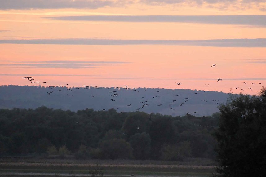 Peter Blei unterwegs am Stausee Kelbra