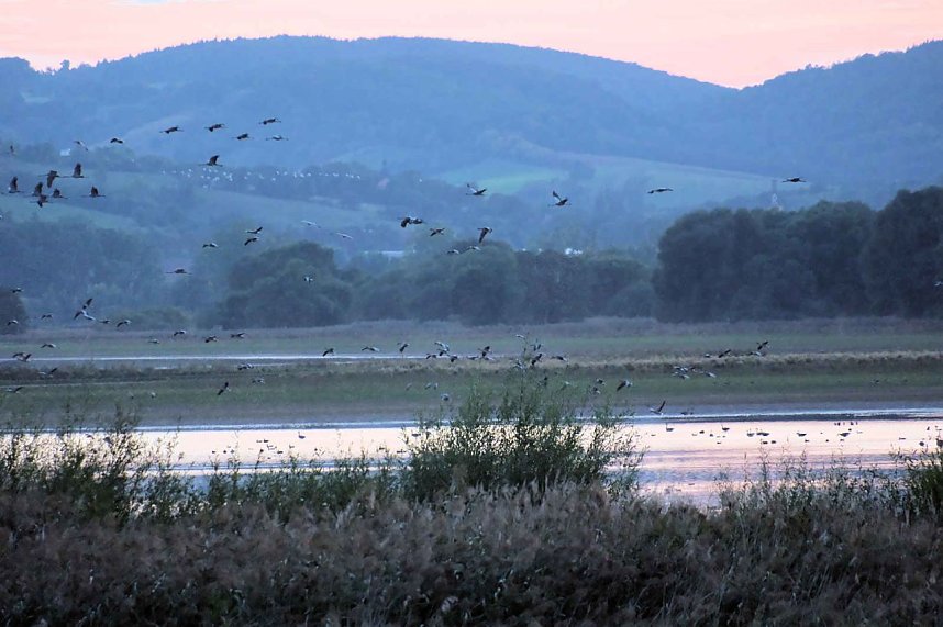 Peter Blei unterwegs am Stausee Kelbra