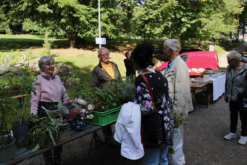 Geburtstagsfeier im Park Hohenrode