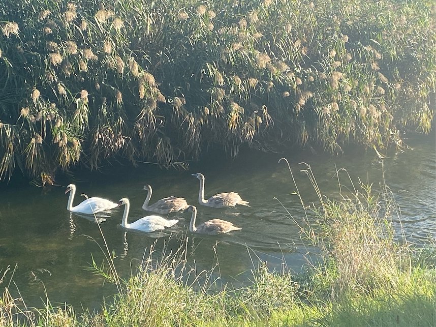 Herbstwanderung mit Wolfgang Lehmann