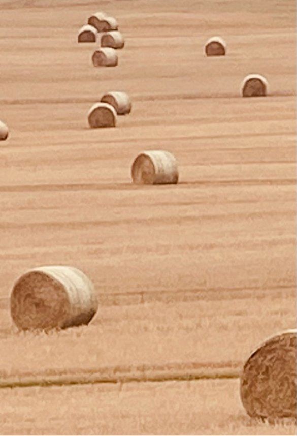 Herbstwanderung mit Wolfgang Lehmann