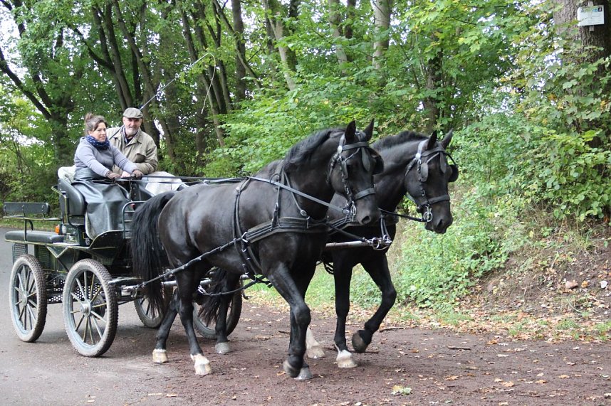 Die S&uuml;dharz-Rallye 2025