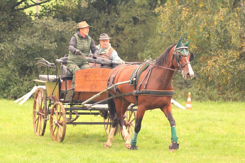 Die S&uuml;dharz-Rallye 2025