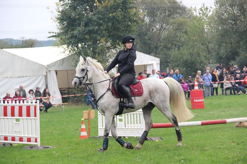 Die S&uuml;dharz-Rallye 2025