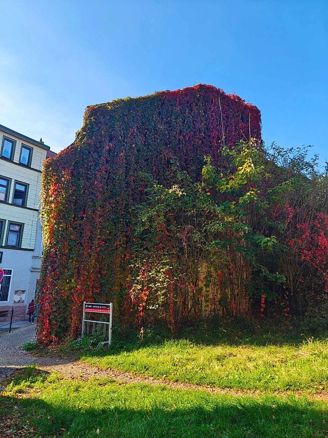 Herbststimmung in Nordhausen