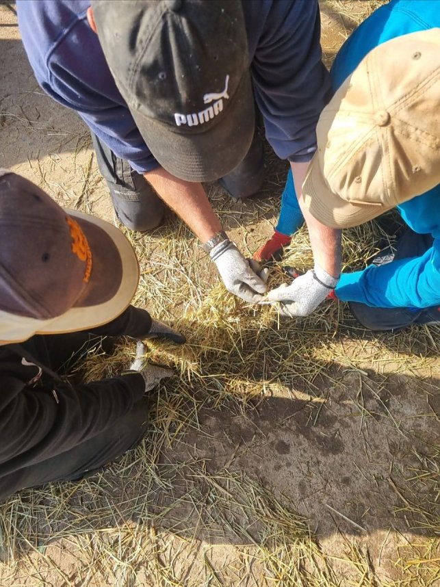 Kirmesvorbereitungen in Kleineerther