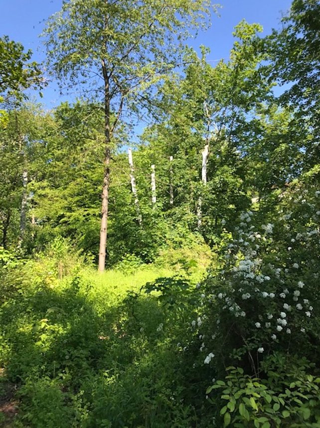 Aktive Wohnungsbaugenossenschaft in Nordhausen
