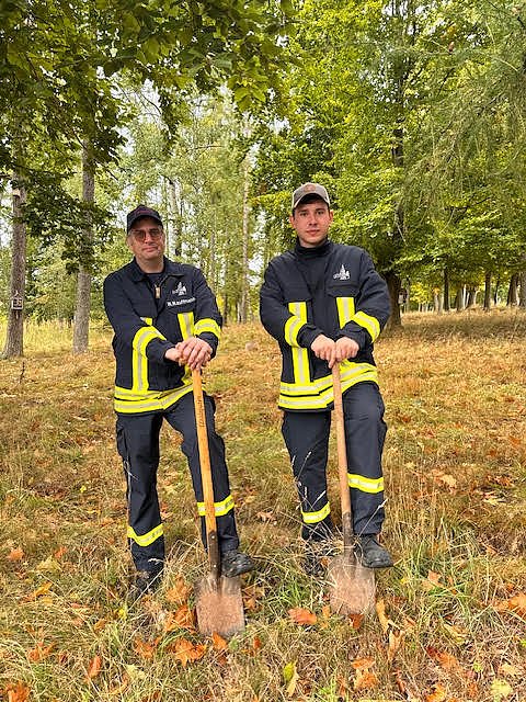 Baumpflanzungen im Stadtwald