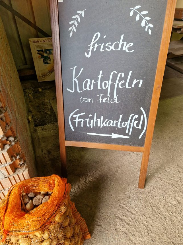 Kartoffelernte der Grundsch&uuml;ler in Werther