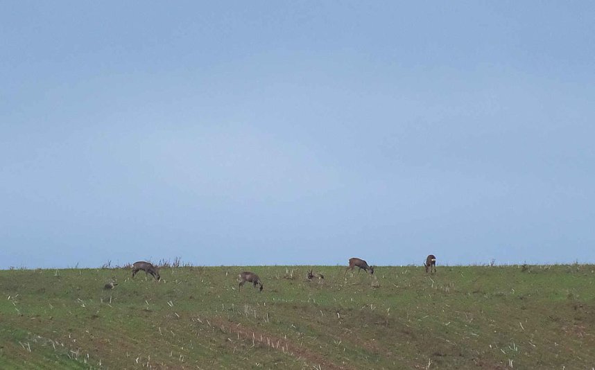 Peter Blei unterwegs in der Windl&uuml;cke