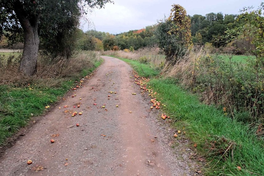 Peter Blei unterwegs in der Windl&uuml;cke
