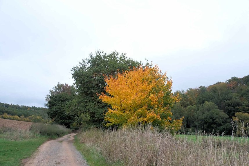 Peter Blei unterwegs in der Windl&uuml;cke
