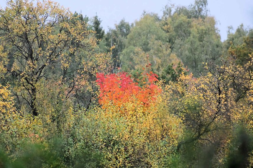 Peter Blei unterwegs in der Windl&uuml;cke