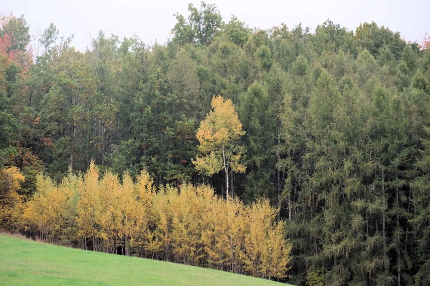 Peter Blei unterwegs in der Windl&uuml;cke