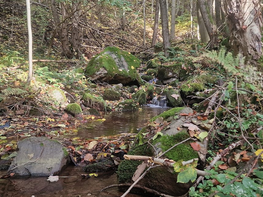 Herbstwanderung im S&uuml;dharz
