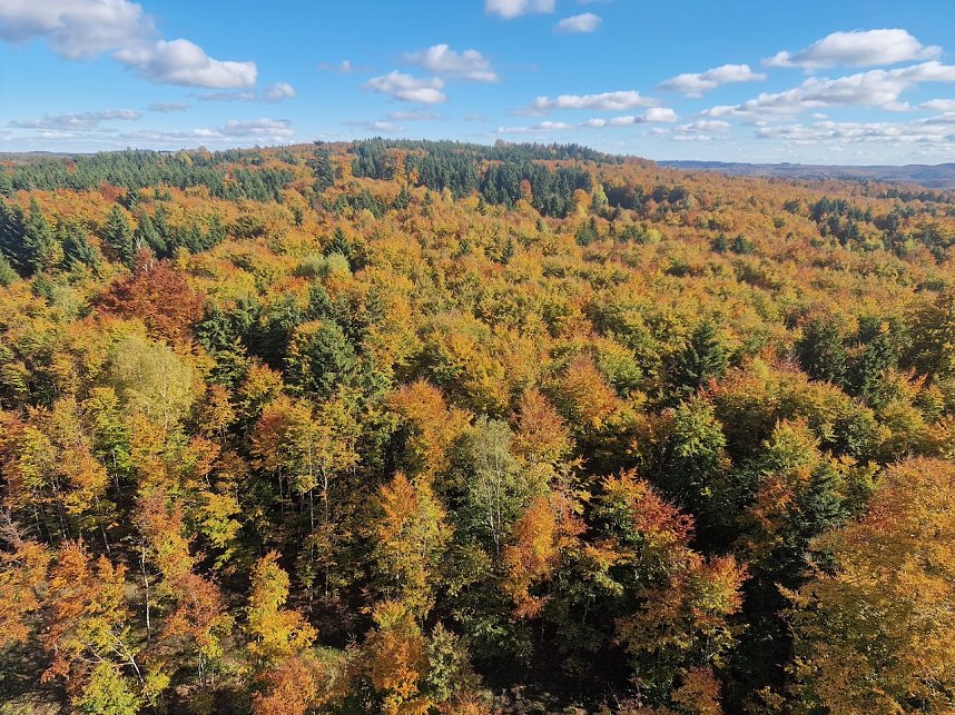 Herbstwanderung im S&uuml;dharz