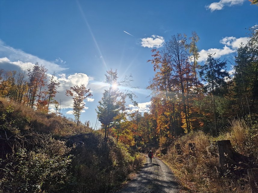 Herbstwanderung im S&uuml;dharz