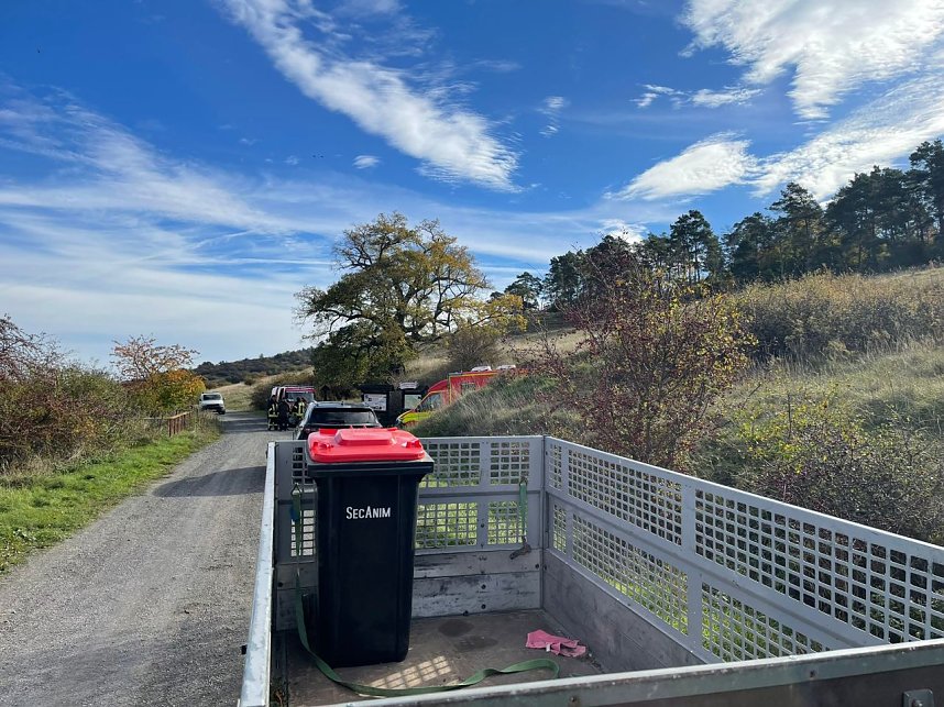 Vogelgrippe jetzt auch im Landkreis Nordhausen