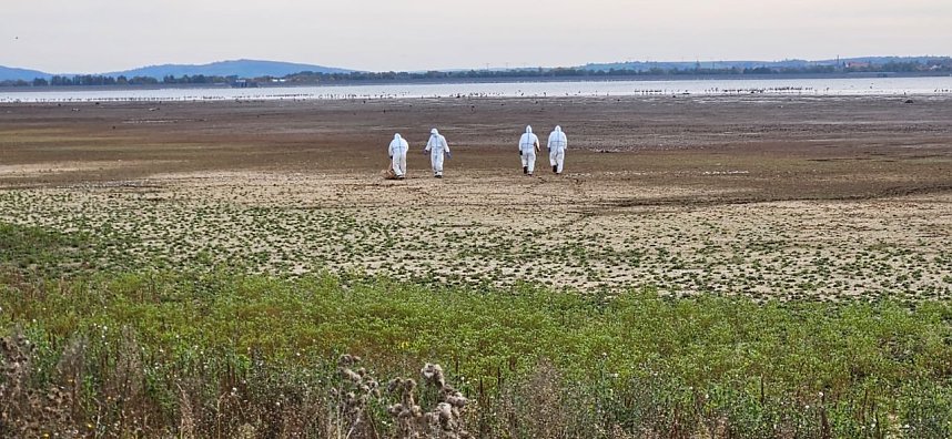 Vogelgrippe jetzt auch im Landkreis Nordhausen