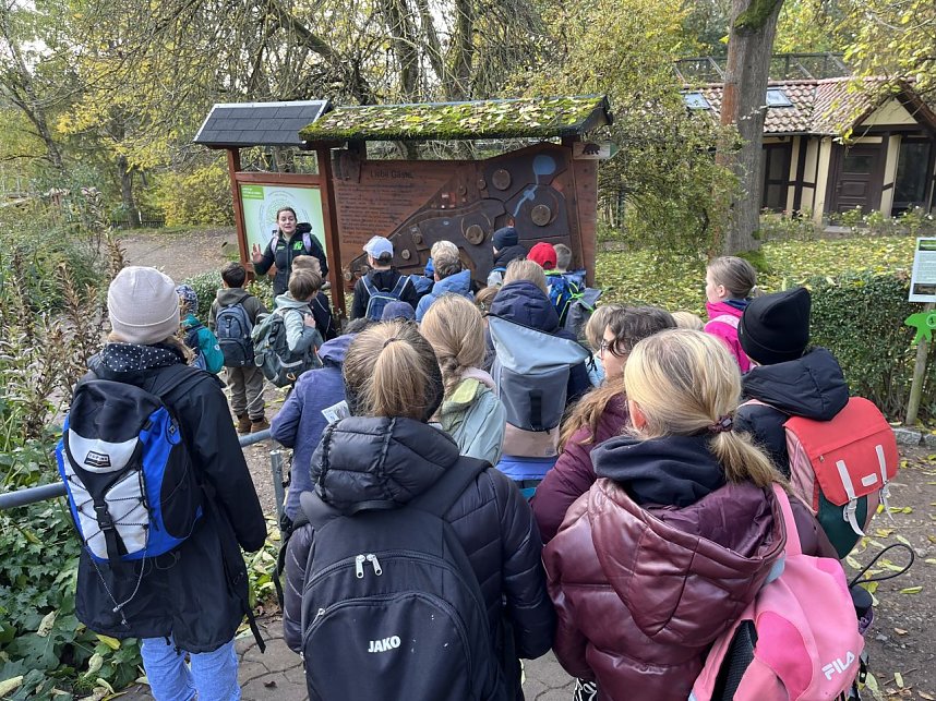 Die 5. Klassen des Humboldt-Gymnasiums waren zu Besuch im B&auml;renpark Worbis