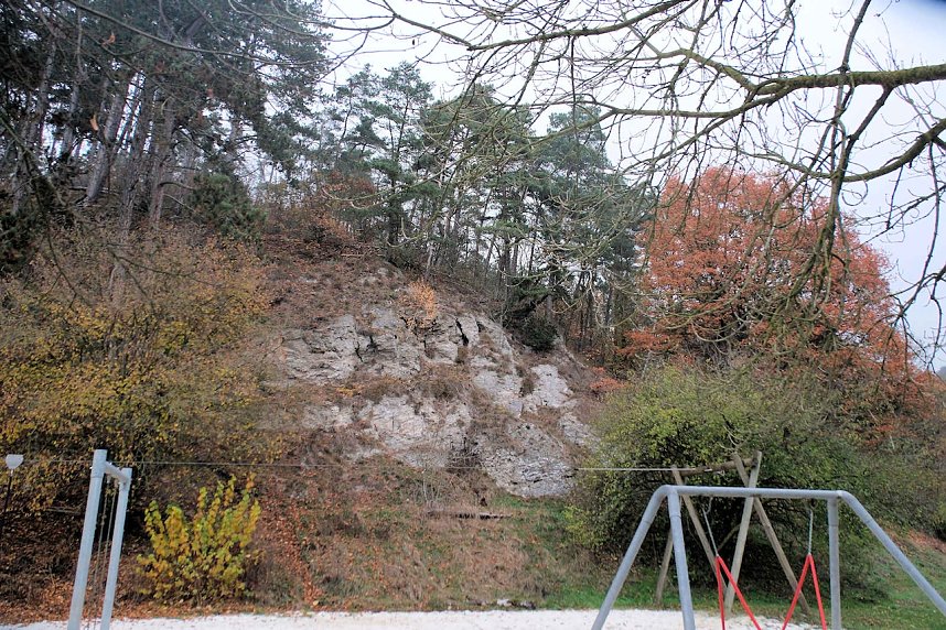 Peter Blei unterwegs im Urwald