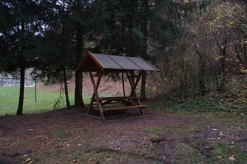 Peter Blei unterwegs im Urwald