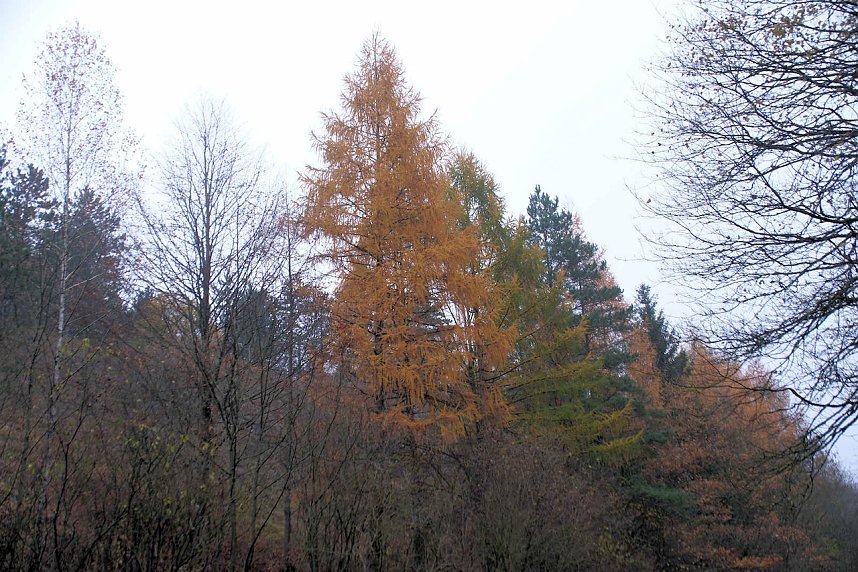 Peter Blei unterwegs im Urwald
