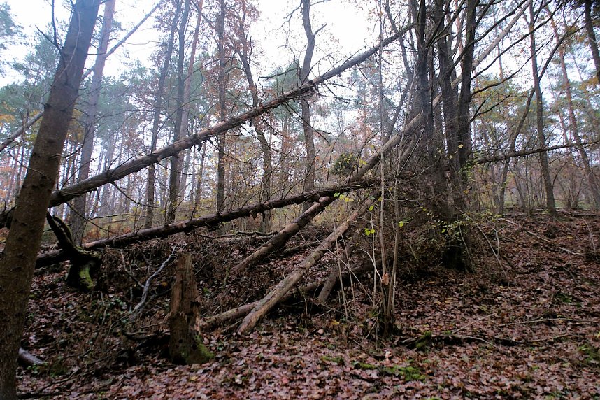 Peter Blei unterwegs im Urwald