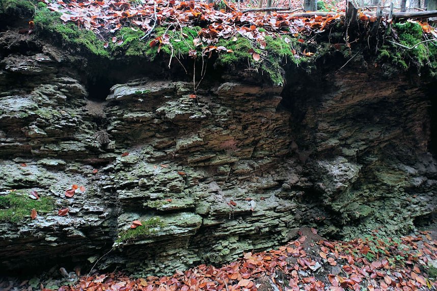 Peter Blei unterwegs im Urwald