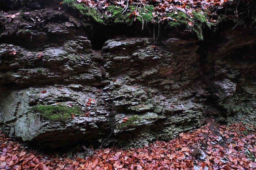 Peter Blei unterwegs im Urwald