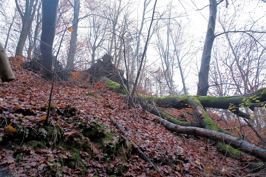 Peter Blei unterwegs im Urwald