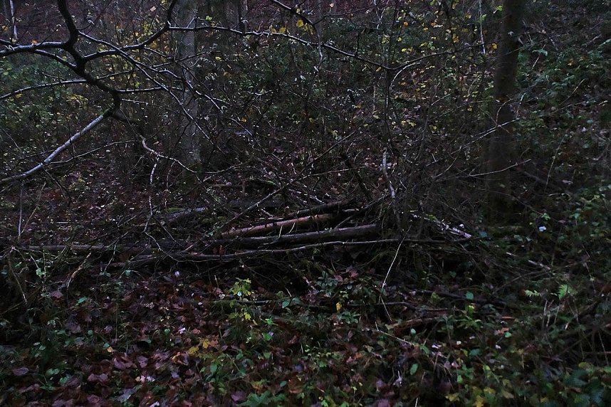 Peter Blei unterwegs im Urwald