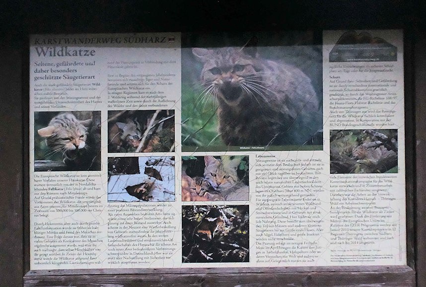 Peter Blei unterwegs im Urwald