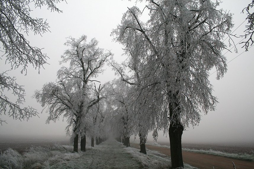Winterlandschaft bei Kelbra