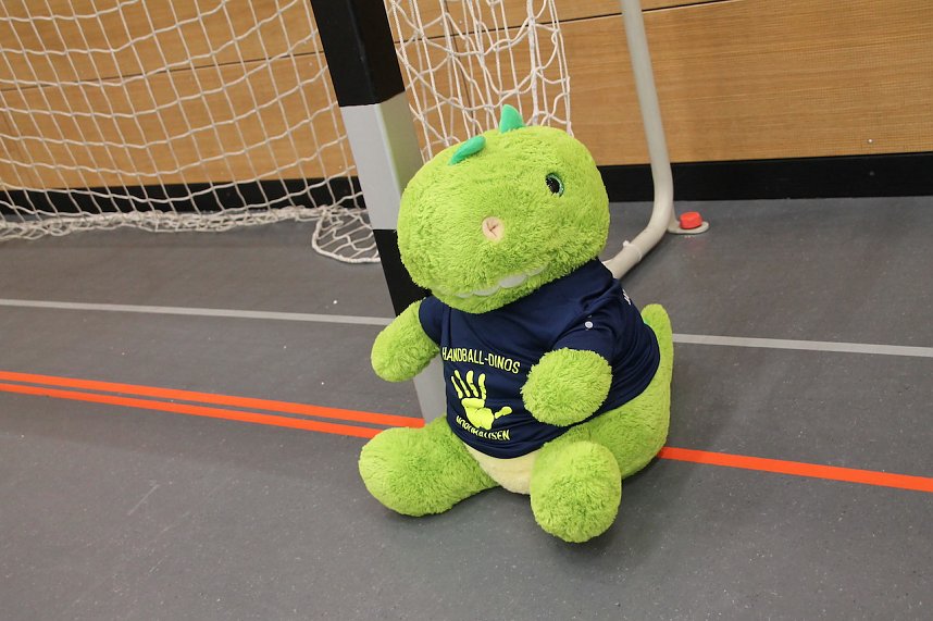 Nordh&auml;user Handballer hatten Grund zur Freude nach siegreichen Spielen