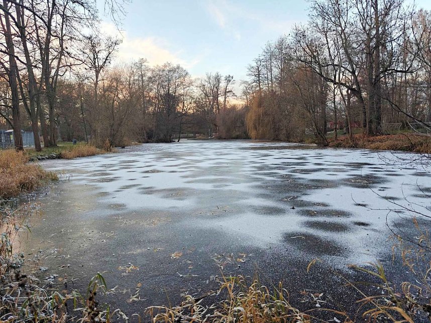 Eis und Frost im Stadtpark