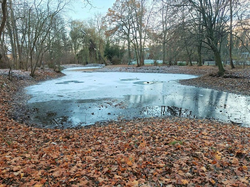 Eis und Frost im Stadtpark